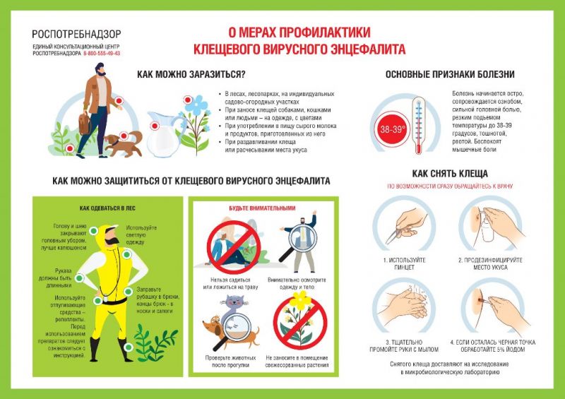 Управление Роспотребнадзора по Ярославской области информирует о проведении «горячей линии» по вопросам профилактики инфекций, передающихся клещами 